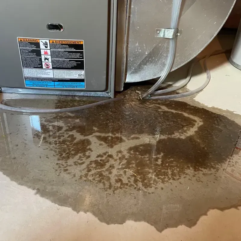 Appliance Leak Cleanup in Lee County, NC